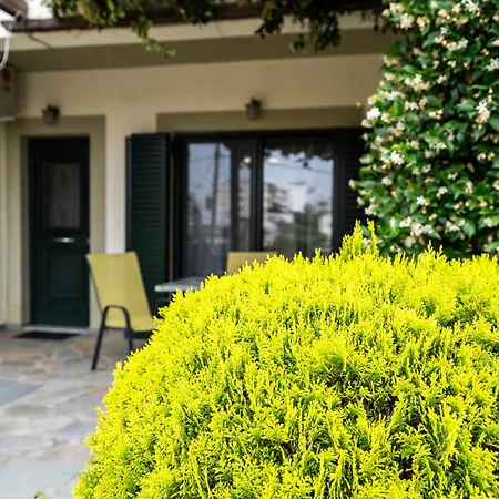 Apartment Belvedere Karystos (Evia)
